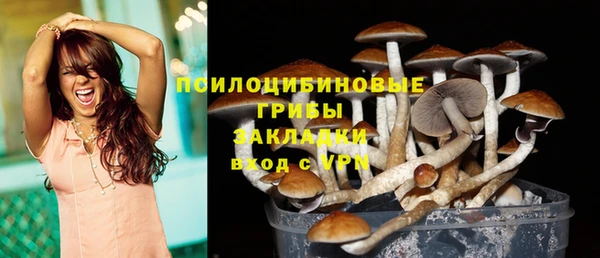 прущие крисы Дмитров