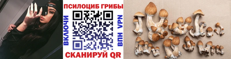 Галлюциногенные грибы ЛСД  наркота  Элиста 